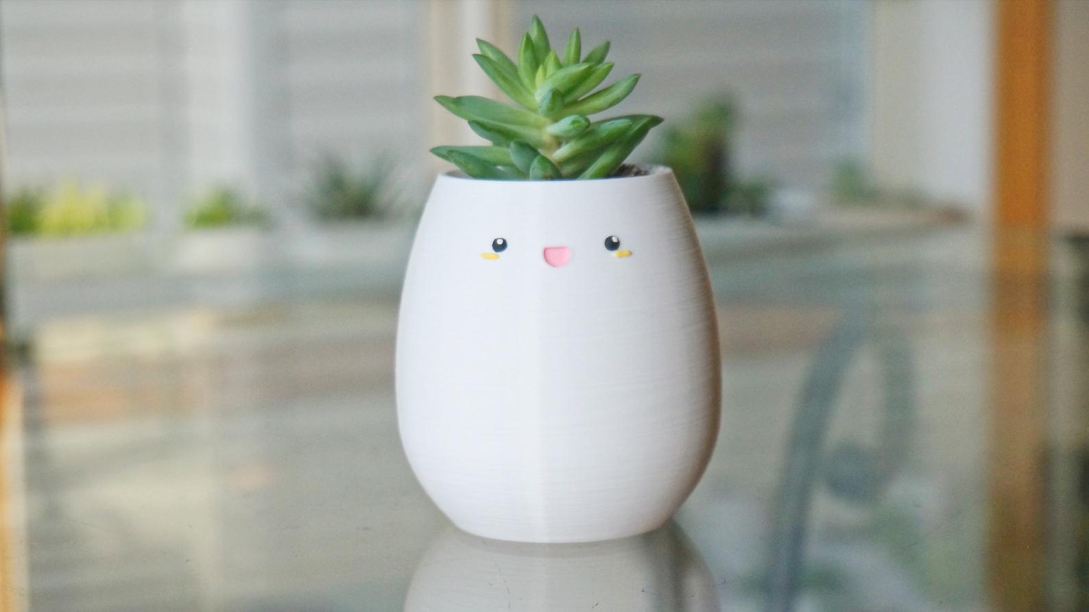 Adorable Smiling Succulent/Flower Pot Planter - Cute Gaming Decor